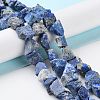 Raw Rough Natural Lapis Lazuli Beads Strands G-B065-C03-2