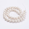 Wrinkle Textured Shell Pearl Beads Strands X-BSHE-E016-8mm-07-2