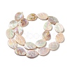 Natural Freshwater Shell Beads Strands SHEL-K006-35-2