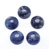 Natural Sodalite Cabochons X-G-P393-R45-12MM-1
