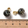 Natural Paua Shell Dyed Round Charms SSHEL-H071-01G-05-3