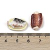 Opaque Resin Cabochons RESI-K043-08-3