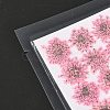 Pressed Dried Flowers DIY-K032-58B-3
