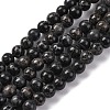 Dyed Natural Regalite/Imperial Jasper/Sea Sediment Jasper Beads Strands G-B124-C02-05-1