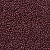 MIYUKI Round Rocailles Beads X-SEED-G007-RR0419-3