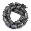 Natural Labradorite Beads Strands G-G162-D13-02-3
