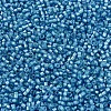 MIYUKI Delica Beads SEED-JP0008-DB1709-3
