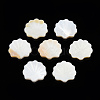 Natural Freshwater Shell Beads SHEL-T007-02-3