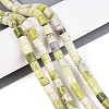 Natural Jade Beads Strands G-T141-95A-1
