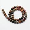 Natural Polychrome Jasper/Picasso Stone/Picasso Jasper Bead Strands G-O155-02A-10mm-2