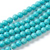 Synthetic Turquoise Beads Strands G-J389-02C-1