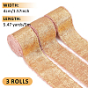 Polyester Ribbon OCOR-WH0111-16B-2