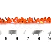 Transparent Glass Beads Strands EGLA-P061-04B-AB10-4
