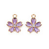 Alloy Enamel Pendants X-ENAM-S121-052E-1