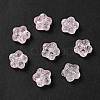 Transparent Glass Beads GLAA-F116-02E-1