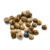 Natural Picture Jasper Cabochons G-H309-03-56-1