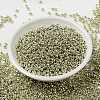 MIYUKI Round Rocailles Beads SEED-G008-RR4201-3
