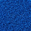 MIYUKI Round Rocailles Beads X-SEED-G007-RR0149F-3