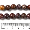 Natural Ocean Jasper Beads Strands G-H298-A13-04-5