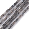 Natural Black Larvikite Bead Strands G-C301-06-1