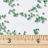 MIYUKI Delica Beads X-SEED-J020-DB0605-4