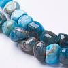 Natural Apatite Beads Strands G-F506-12-3