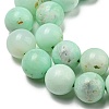Grade A Natural Chrysoprase Beads Strands G-R494-A02-04-3