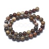 Natural Petrified Wood Beads Strands G-I254-07B-2