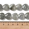 Natural Labradorite Beads Strands G-A309-A09-01-4