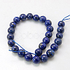 Natural Lapis Lazuli Beads Strands G-G087-16mm-2