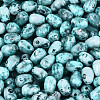Picasso Glass Seed Beads SEED-N012-10H-3