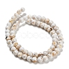 Assembled Synthetic Stone and Trochus Shell Beads Strands G-B128-08B-01-2