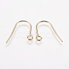 304 Stainless Steel Earring Hooks X-STAS-F142-01G-2