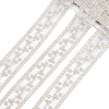 Polyester Hollow Embroidered Lace Trim OCOR-WH0079-13A-1