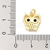 Rack Plating Brass Micro Pave Cubic Zirconia Connector Charms KK-K293-34G-3