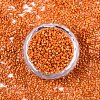 FGB 11/0 Grade A Baking Paint Glass Seed Beads SEED-S030-1028-3