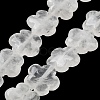 Natural Quartz Crystal Beads Strands G-F769-O01-01-1