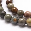 Natural New Ocean Jasper Bead Strands G-G954-01-8mm-5