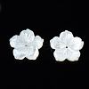 Natural White Shell Mother of Pearl Shell Beads SSHEL-T014-42D-2