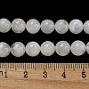 Natural Rainbow Moonstone Beads Strands G-C068-8mm-1A-3