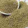 MIYUKI Round Rocailles Beads X-SEED-G009-RR2250-1