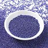 MIYUKI Round Rocailles Beads X-SEED-G007-RR1020-2