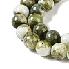 Baking Paint Glass Bead Strands GLAA-H031-01B-14-4