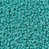 MIYUKI Delica Beads SEED-X0054-DB0759-3