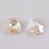 K9 Glass Rhinestone Pendants GLAA-F083-03A-3