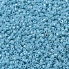 MIYUKI Delica Beads X-SEED-J020-DB0217-3