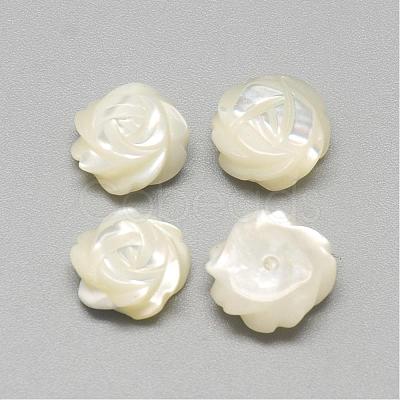 Natural White Shell Mother of Pearl Shell Cabochons SSHEL-R042-11-1