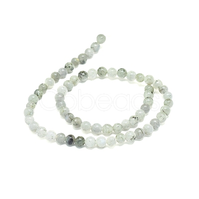 Natural Labradorite Beads Strands G-G828-01-6mm-1