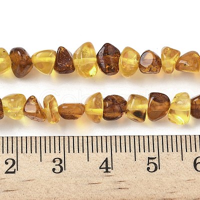 Natural Amber Beads Strands G-L095-E01-03-1