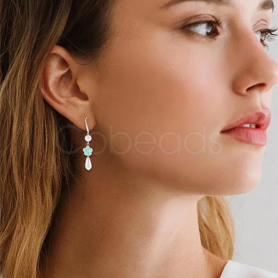 32Pcs 2 Colors Brass Earring Hooks KK-SC0006-56-1